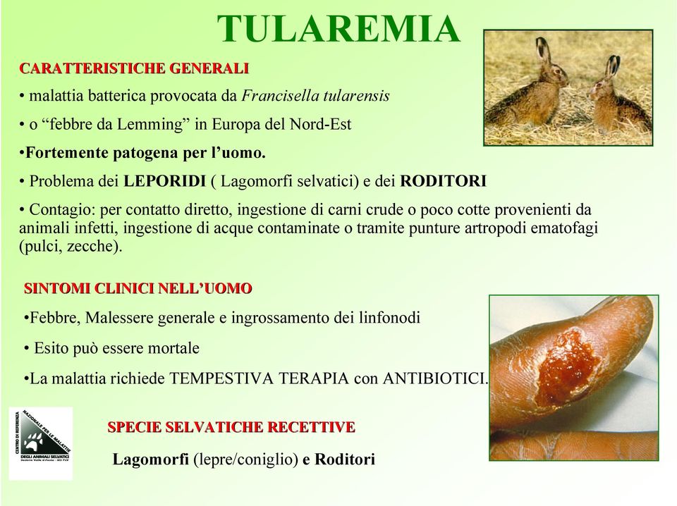 infetti, ingestione di acque contaminate o tramite punture artropodi ematofagi (pulci, zecche).