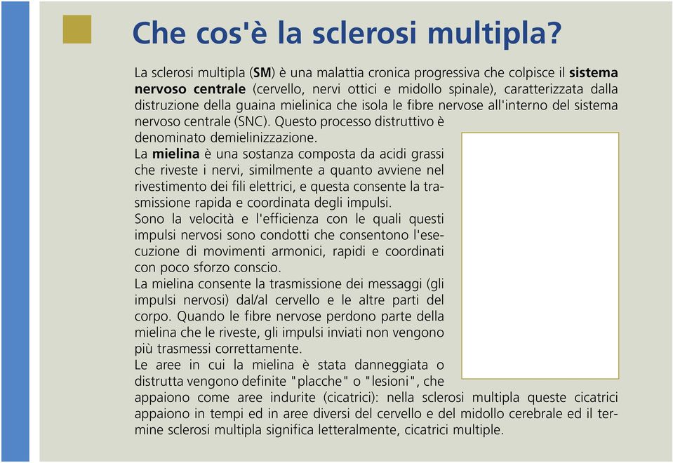 mielinica che isola le fibre nervose all'interno del sistema nervoso centrale (SNC). Questo processo distruttivo è denominato demielinizzazione.