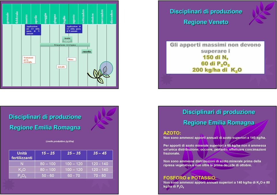 li/h) Unità 15 25 25 35 35 45 fertilizznti N 8 1 1 12 12-14 K 2 O 8 1 1 12 12-14 P 2 O 5 5-6 6-7 7-8 Disciplinri di produzione Regione Emili Romgn AZOTO: Non sono mmessi pporti nnuli di zoto