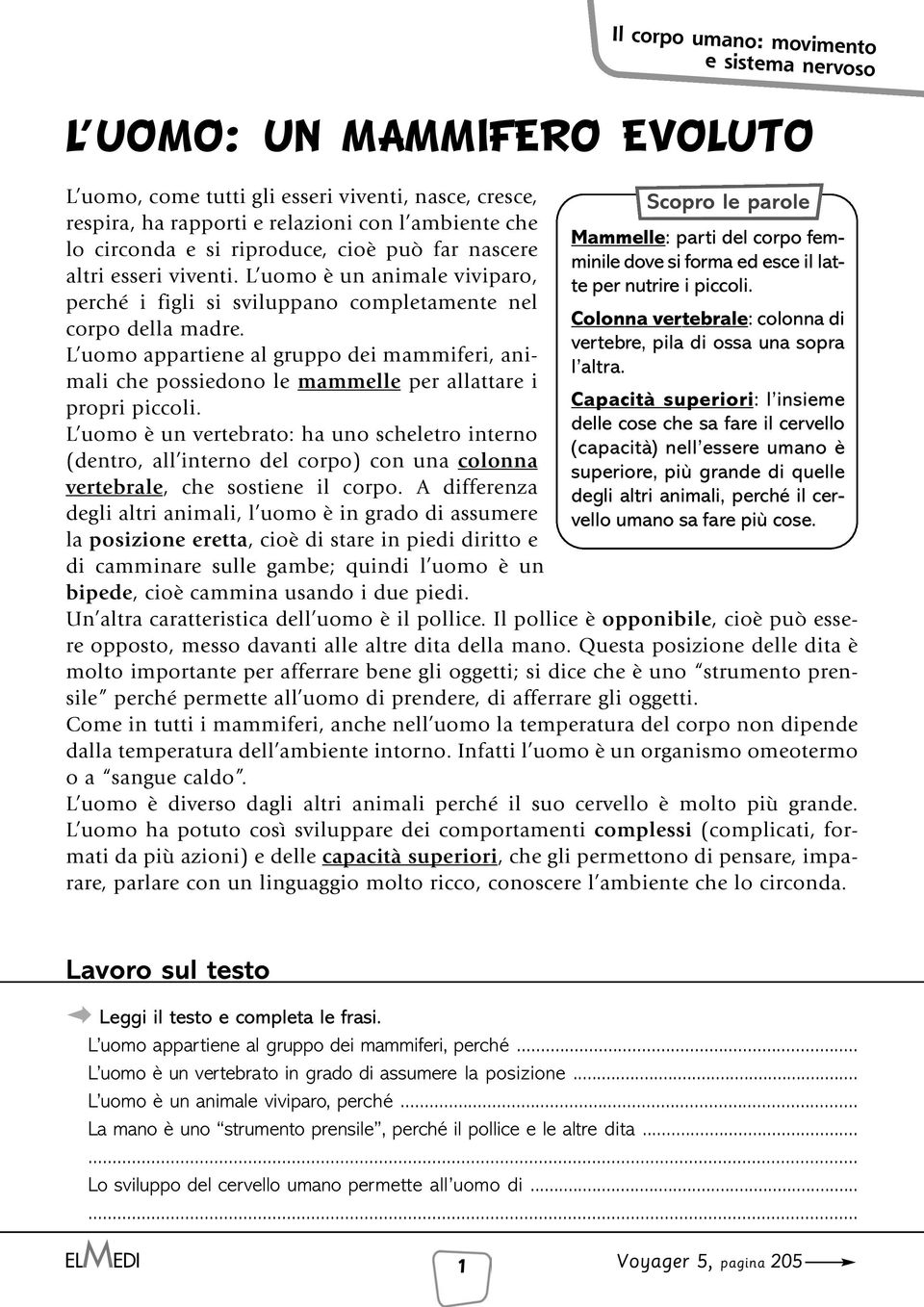 L uomo appartiene al gruppo dei mammiferi, animali che possiedono le mammelle per allattare i propri piccoli.