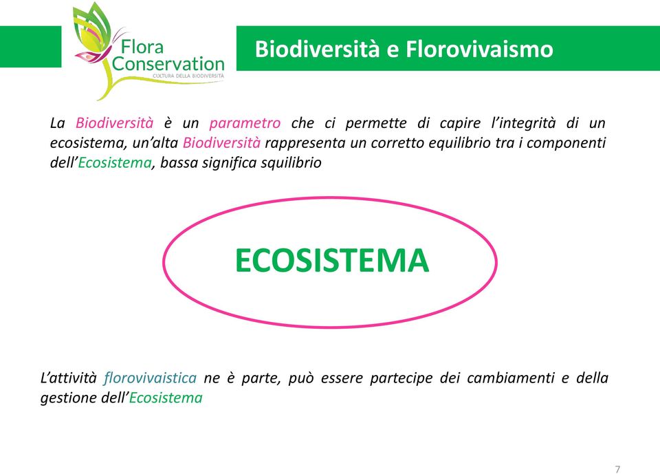 i componenti dell Ecosistema, bassa significa squilibrio ECOSISTEMA L attività