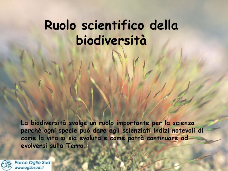 dare agli scienziati indizi notevoli di come la vita si sia