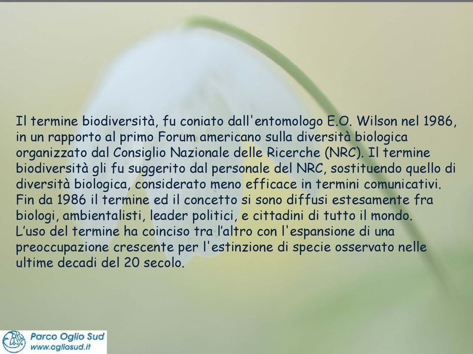 (NRC) Il termine biodiversità gli fu suggerito dal personale del NRC, sostituendo quello di diversità biologica, considerato meno efficace in termini comunicativi.