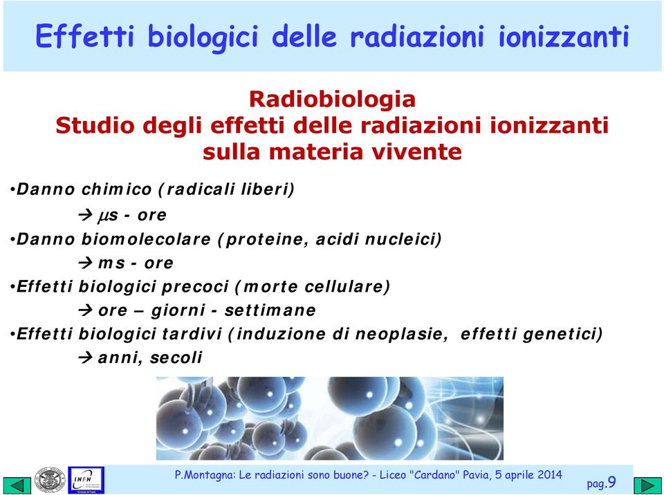 biomolecolare (proteine, acidi nucleici) ms - ore Effetti biologici precoci (morte cellulare)