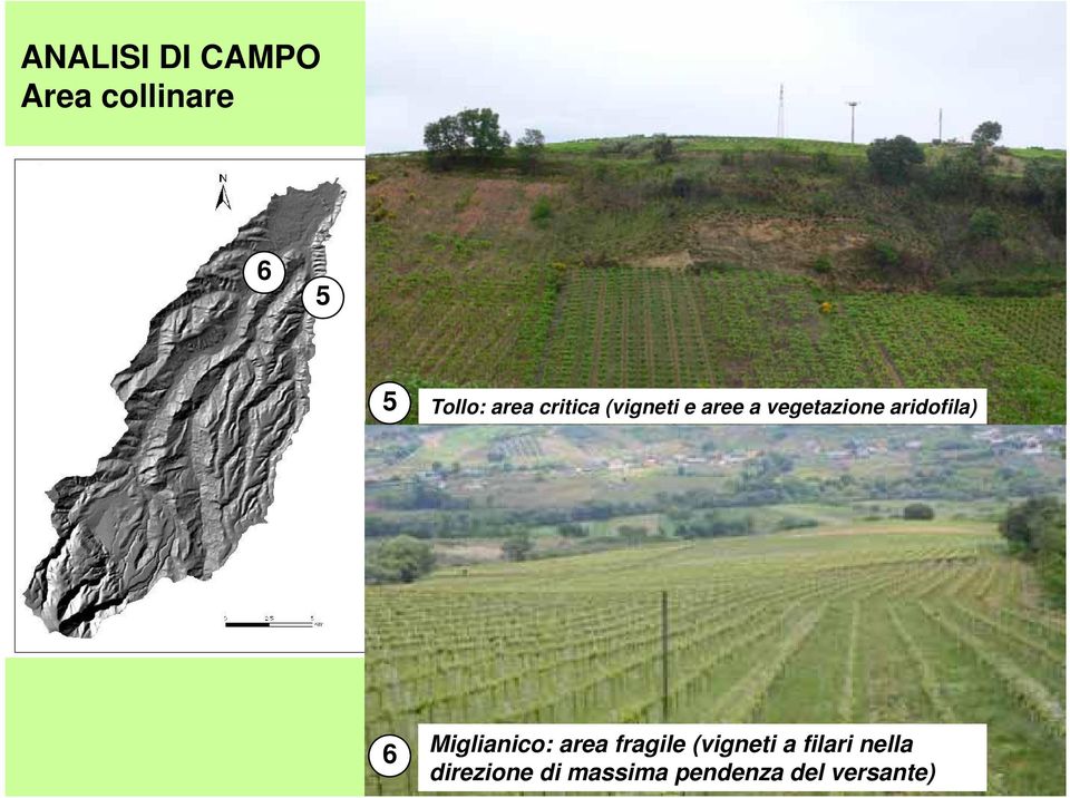 aridofila) 6 Miglianico: area fragile (vigneti a