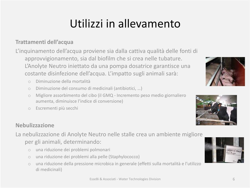 L impatt sugli animali sarà: Diminuzine della mrtalità Diminuzine del cnsum di medicinali (antibitici, ) Miglire assrbiment del cib (il GMQ -Increment pes medi girnalier aumenta, diminuisce l indice