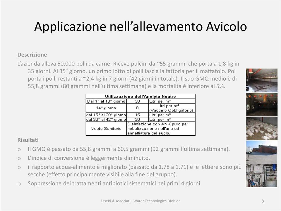 Il su GMQ medi è di 55,8 grammi (80 grammi nell ultima settimana) e la mrtalità è inferire al 5%. Risultati Il GMQ è passat da 55,8 grammi a 60,5 grammi (92 grammi l ultima settimana).