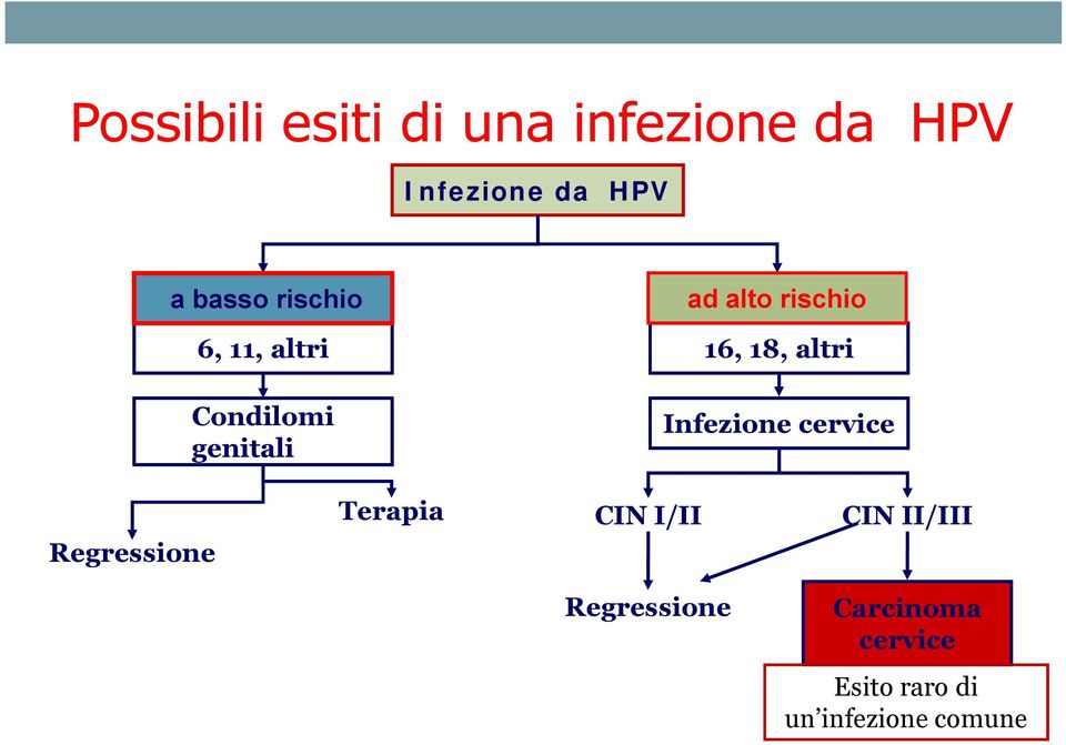 16, 18, altri Infezione cervice Regressione Terapia CIN I/II