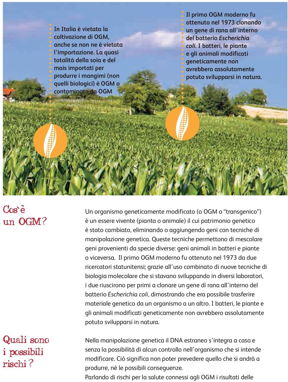 interno del batterio Escherichia coli. I batteri, le piante e gli animali modificati geneticamente non avrebbero assolutamente potuto svilupparsi in natura.