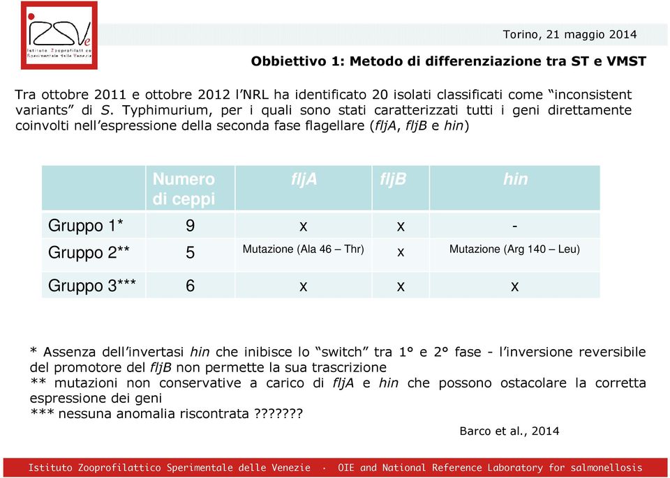 1* 9 x x - Gruppo 2** 5 Mutazione (Ala 46 Thr) x Mutazione (Arg 140 Leu) Gruppo 3*** 6 x x x * Assenza dell invertasi hin che inibisce lo switch tra 1 e 2 fase - l inversione reversibile del