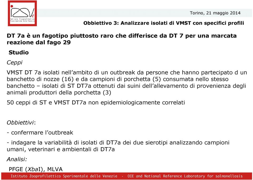 di ST DT7a ottenuti dai suini dell allevamento di provenienza degli animali produttori della porchetta (3) 50 ceppi di ST e VMST DT7a non epidemiologicamente correlati