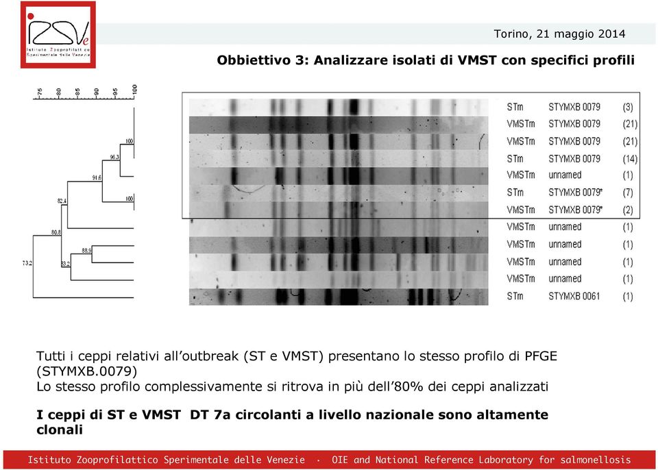 0079) Lo stesso profilo complessivamente si ritrova in più dell 80% dei ceppi