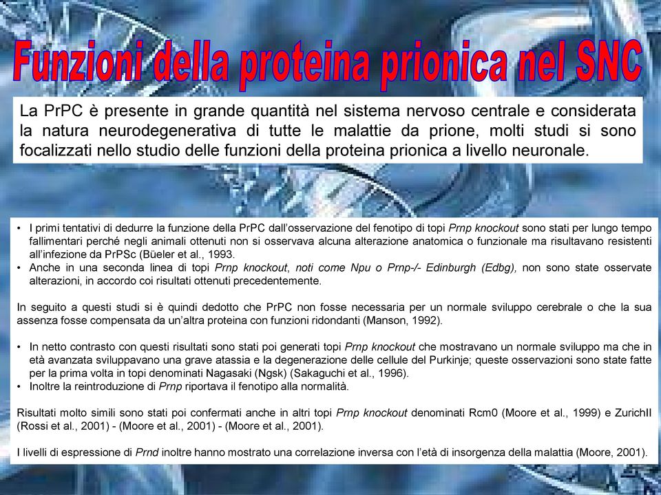 I primi tentativi di dedurre la funzione della PrPC dall osservazione del fenotipo di topi Prnp knockout sono stati per lungo tempo fallimentari perché negli animali ottenuti non si osservava alcuna