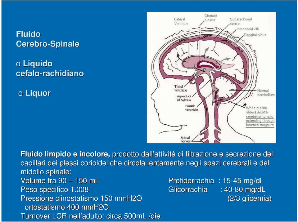 cerebrali e del midollo spinale: Volume tra 90 150 ml Protidorrachia : 15-45 mg/dl Peso specifico 1.