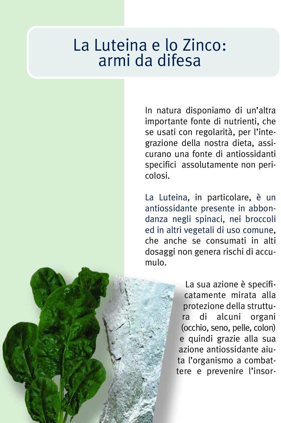 La Luteina, in particolare, è un antiossidante presente in abbondanza negli spinaci, nei broccoli ed in altri vegetali di uso comune, che anche se consumati in alti