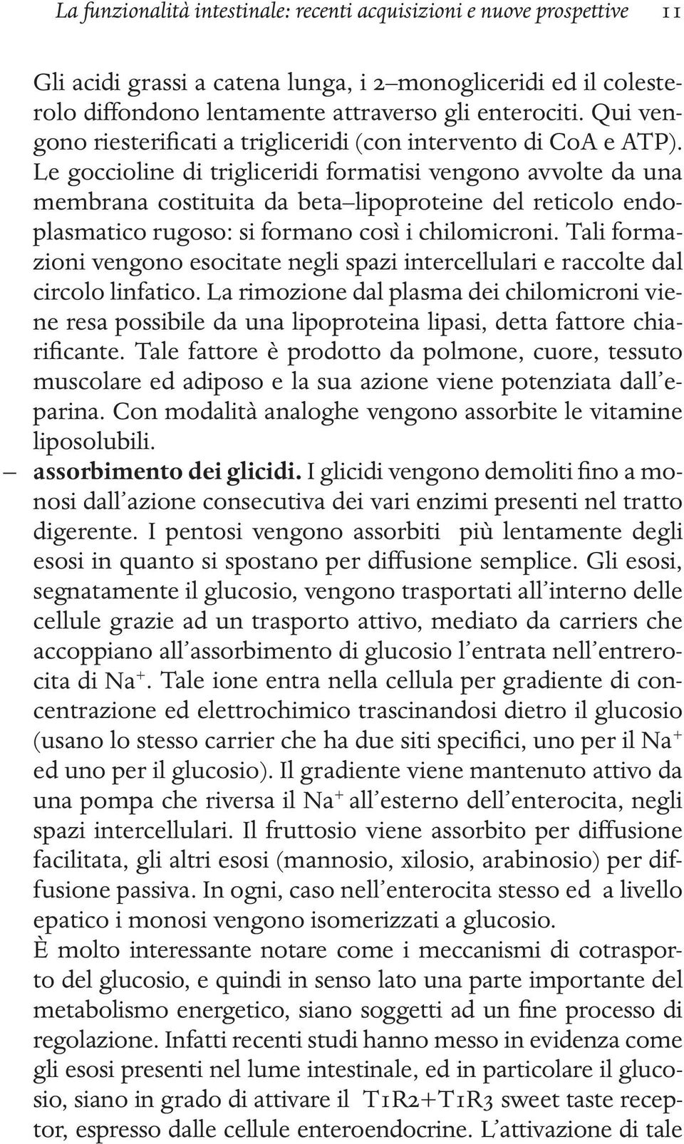 Le goccioline di trigliceridi formatisi vengono avvolte da una membrana costituita da beta lipoproteine del reticolo endoplasmatico rugoso: si formano così i chilomicroni.