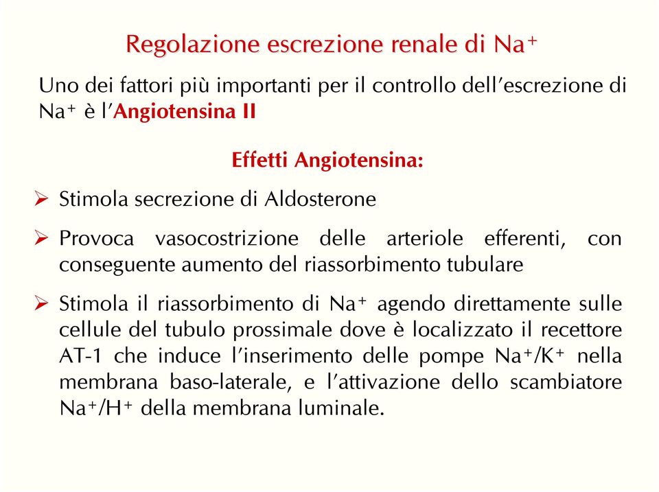 riassorbimento tubulare Stimola il riassorbimento di Na + agendo direttamente sulle cellule del tubulo prossimale dove è localizzato il