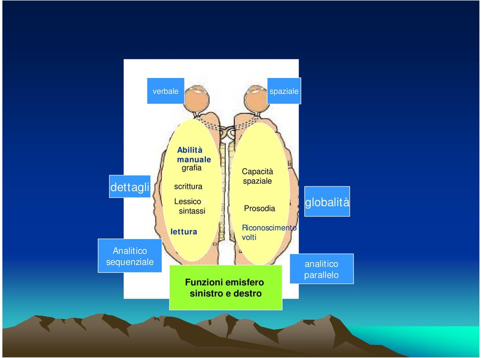 globalità Analitico sequenziale lettura Funzioni