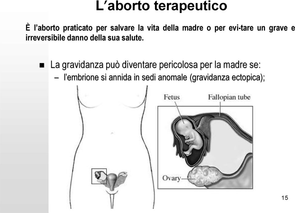 La gravidanza può diventare pericolosa per la madre se: l embrione si
