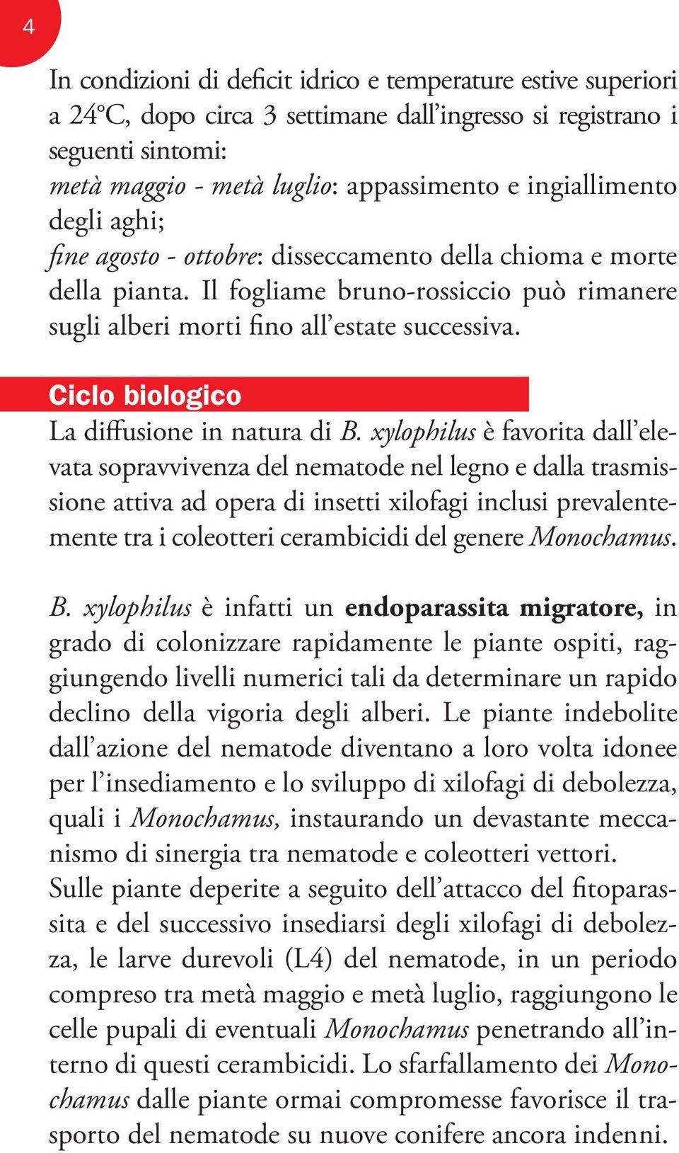 Ciclo biologico La diffusione in natura di B.