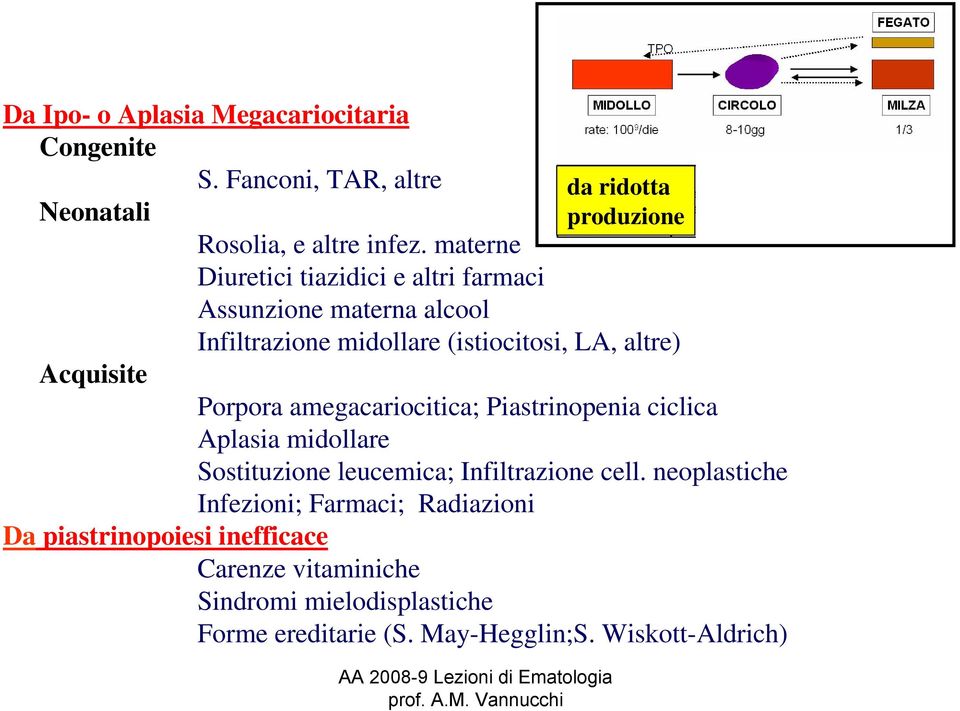 Porpora amegacariocitica; Piastrinopenia ciclica Aplasia midollare Sostituzione leucemica; Infiltrazione cell.