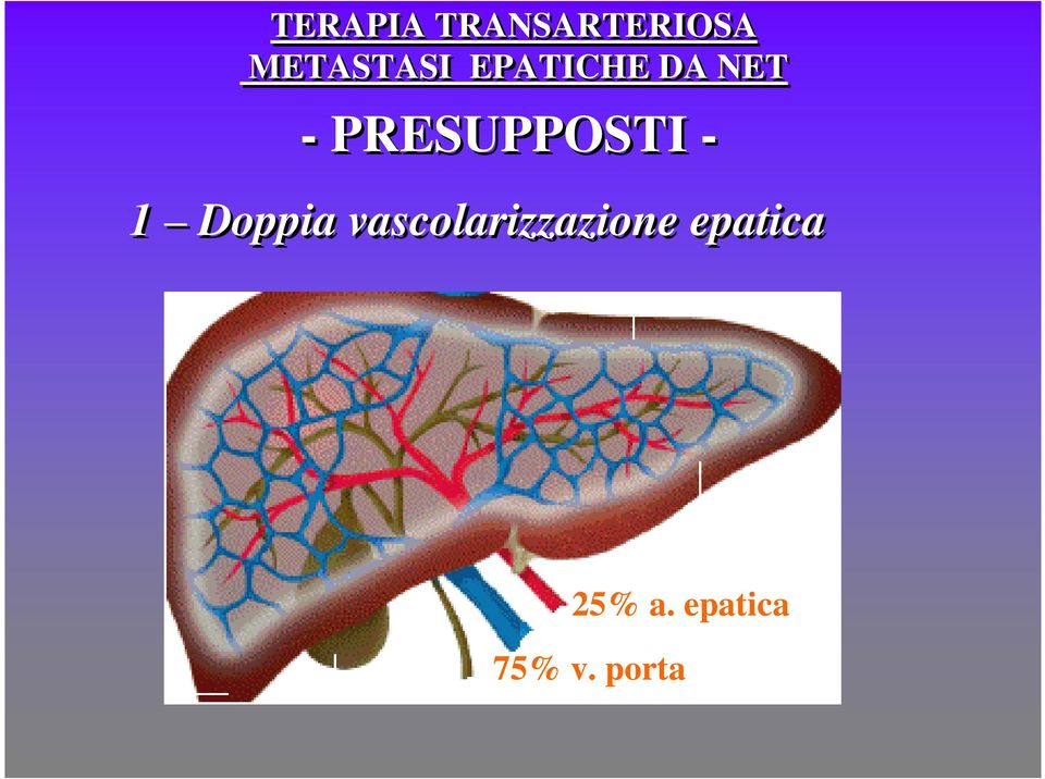 vascolarizzazione