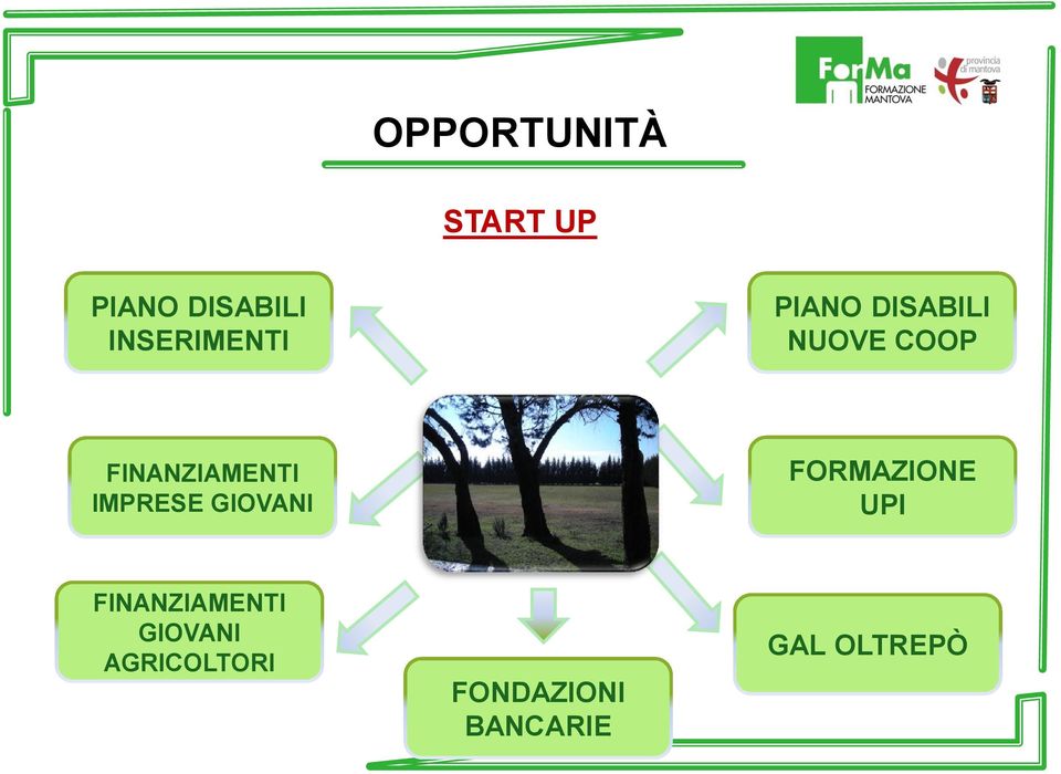 FINANZIAMENTI IMPRESE GIOVANI FORMAZIONE UPI