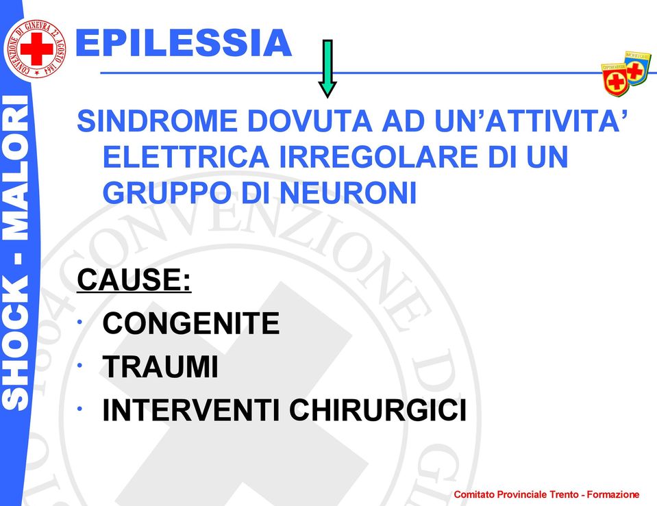 UN GRUPPO DI NEURONI CAUSE: