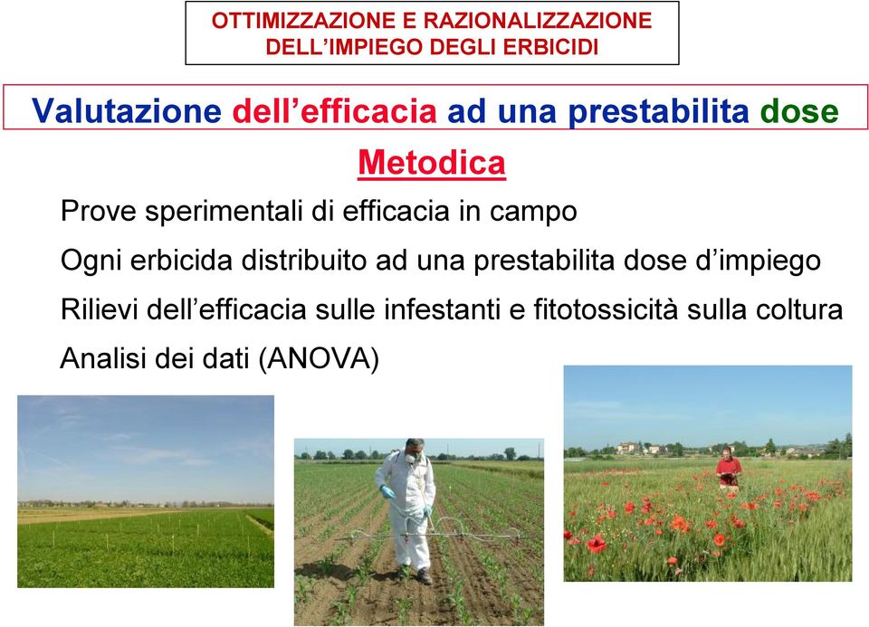 Ogni erbicida distribuito ad una prestabilita dose d impiego Rilievi dell