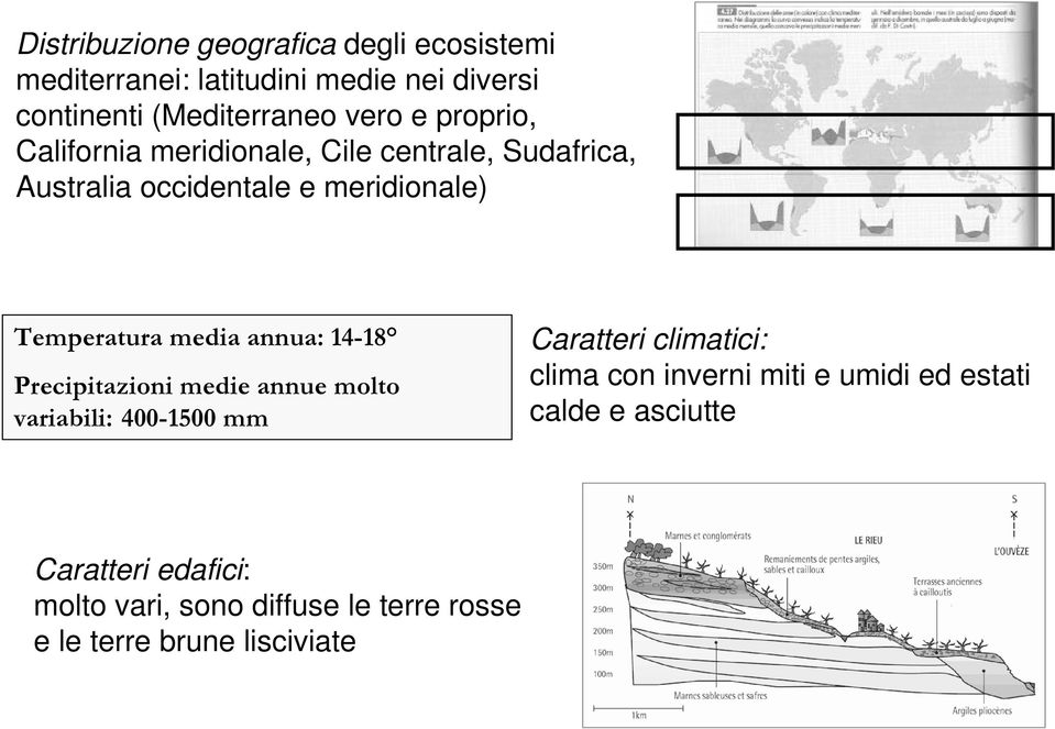 annua: 14-18 Precipitazioni medie annue molto variabili: 400-1500 mm Caratteri climatici: clima con inverni miti e