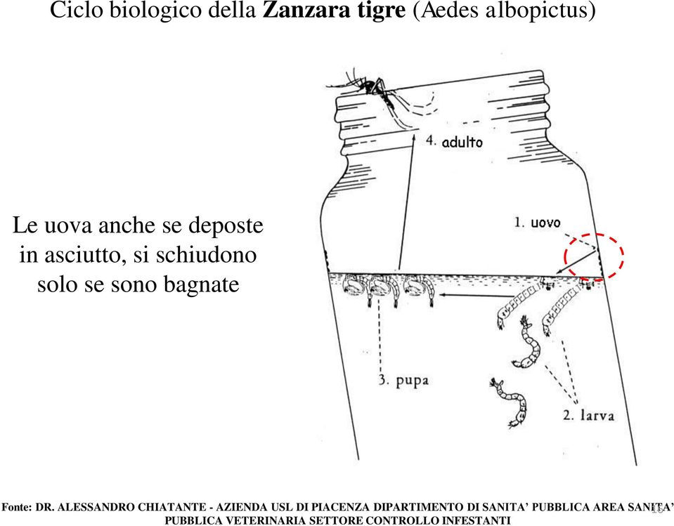 ALESSANDRO CHIATANTE - AZIENDA USL DI PIACENZA DIPARTIMENTO DI SANITA