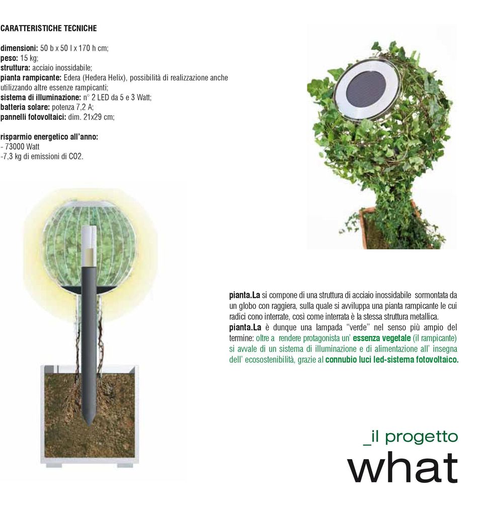 21x29 cm; risparmio energetico all anno: - 73000 Watt -7,3 kg di emissioni di CO2. pianta.