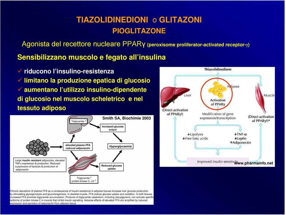 insulino-resistenza limitano la produzione epatica di glucosio aumentano l utilizzo