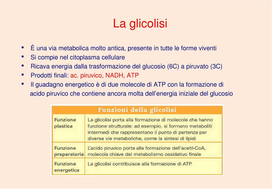 (3C) Prodotti finali: ac.