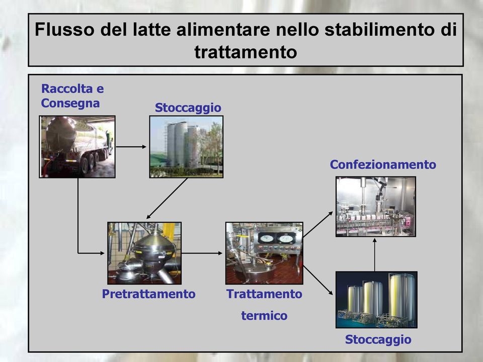 Consegna Stoccaggio Confezionamento