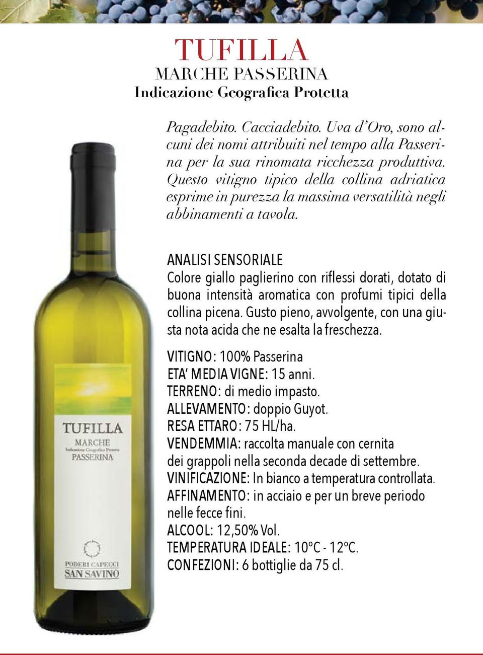 ANALISI SENSORIALE Colore giallo paglierino con riflessi dorati, dotato di buona intensità aromatica con profumi tipici della collina picena.