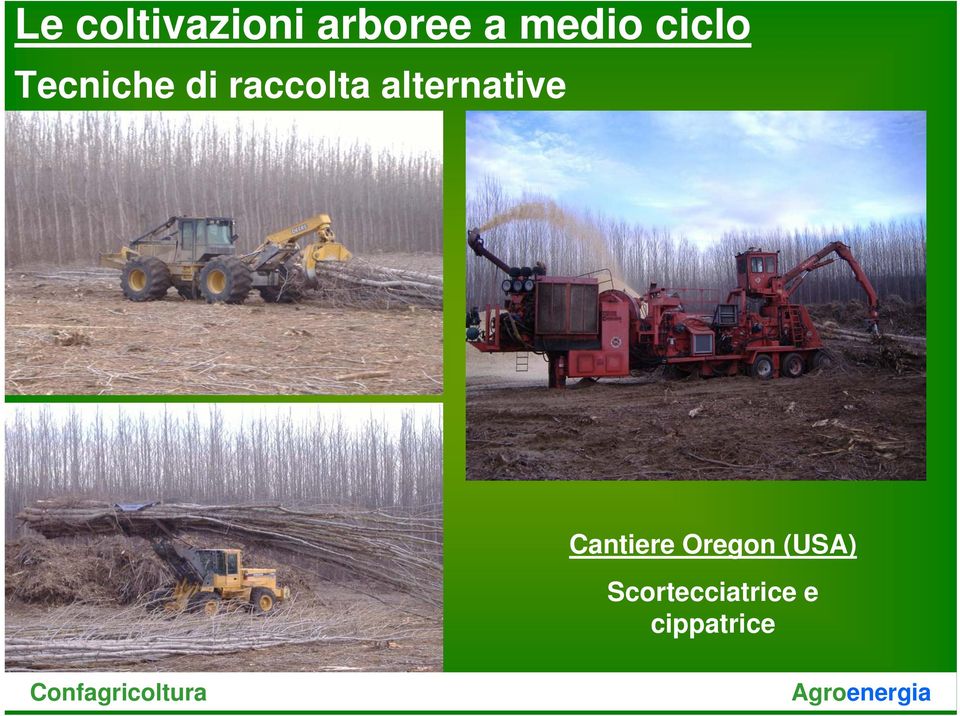 raccolta alternative Cantiere