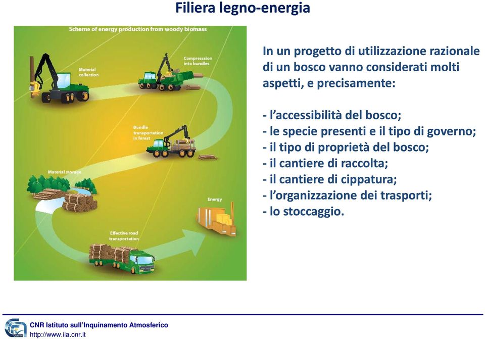 del bosco; le specie presenti e il tipo di governo; il tipo di proprietà del bosco;