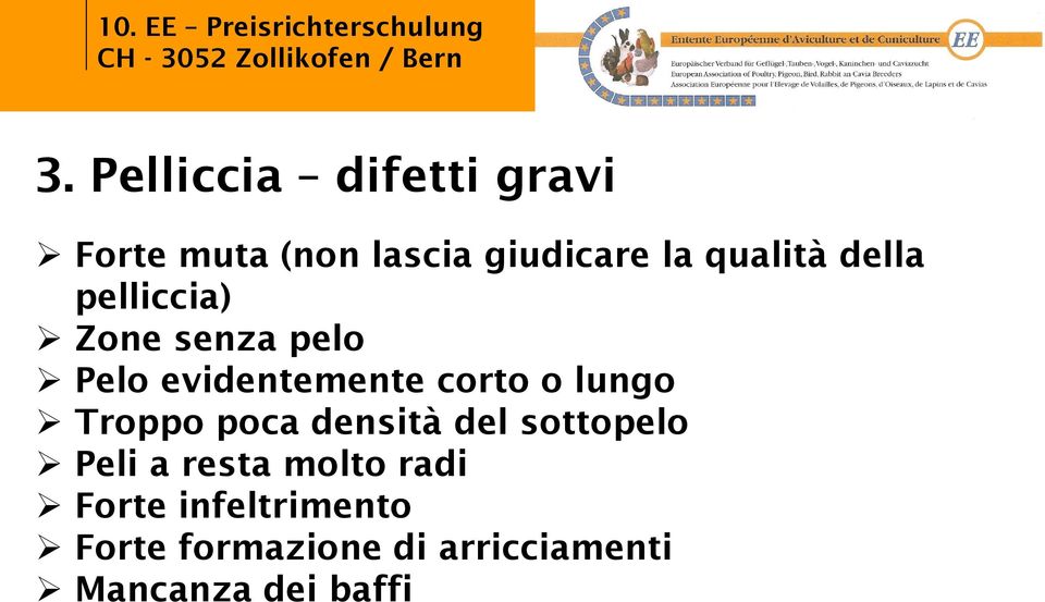 o lungo Troppo poca densità del sottopelo Peli a resta molto radi