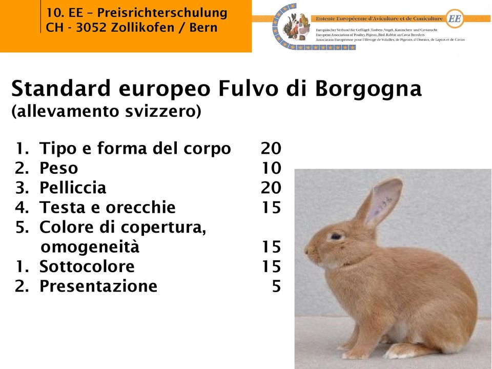 Pelliccia 20 4. Testa e orecchie 15 5.