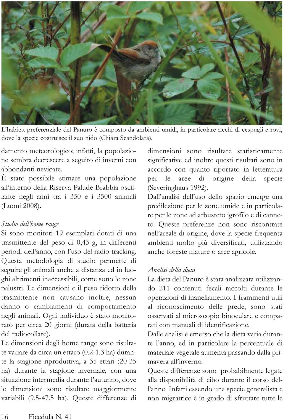 È stato possibile stimare una popolazione all interno della Riserva Palude Brabbia oscillante negli anni tra i 350 e i 3500 animali (Luoni 2008).