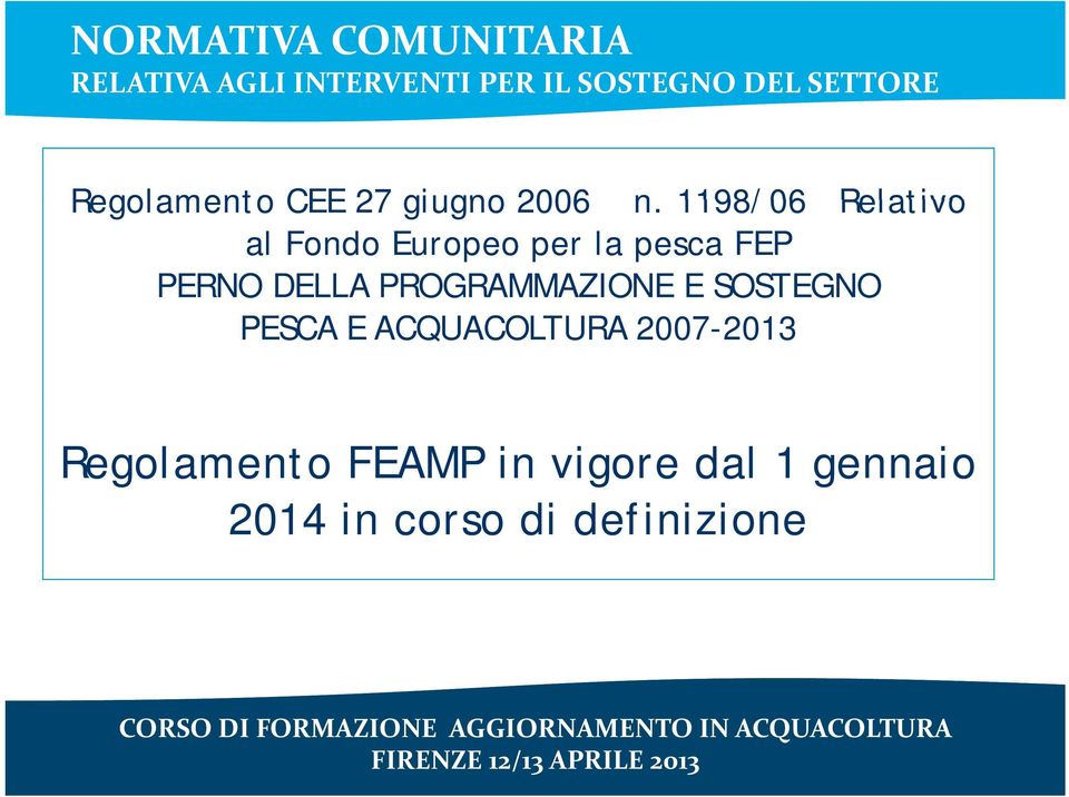 1198/06 Relativo al Fondo Europeo per la pesca FEP PERNO DELLA