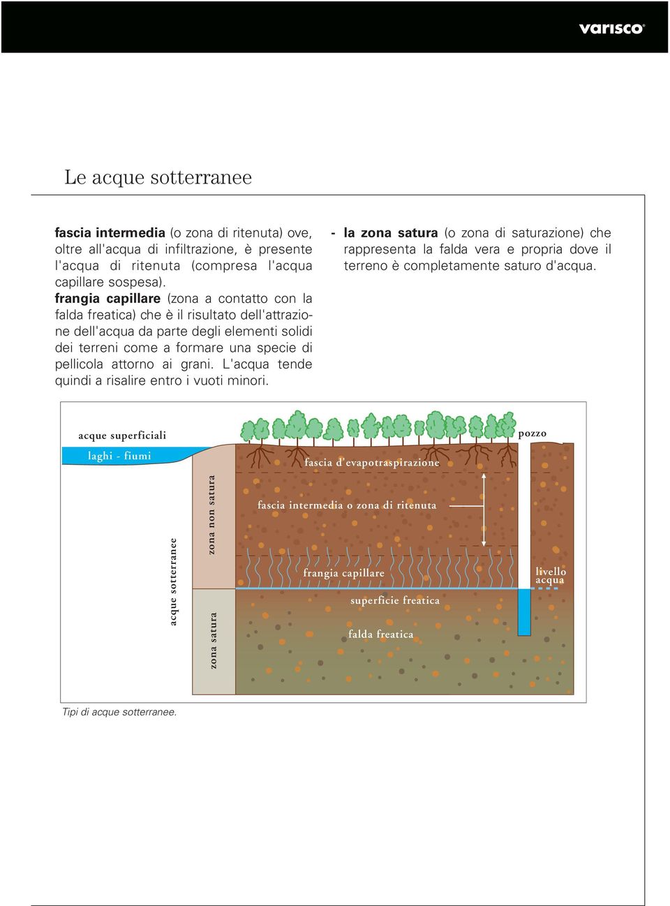 grani. L'acqua tende quindi a risalire entro i vuoti minori. - la zona satura (o zona di saturazione) che rappresenta la falda vera e propria dove il terreno è completamente saturo d'acqua.