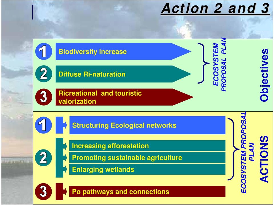 afforestation Promoting sustainable agriculture Enlarging wetlands Po