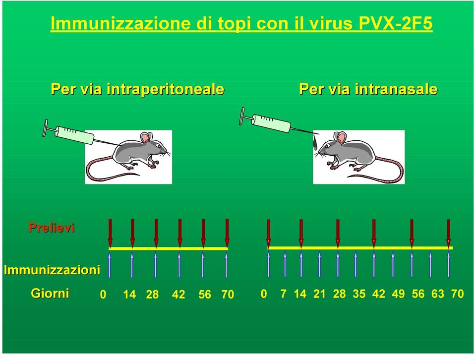 intranasale Prelievi Immunizzazioni