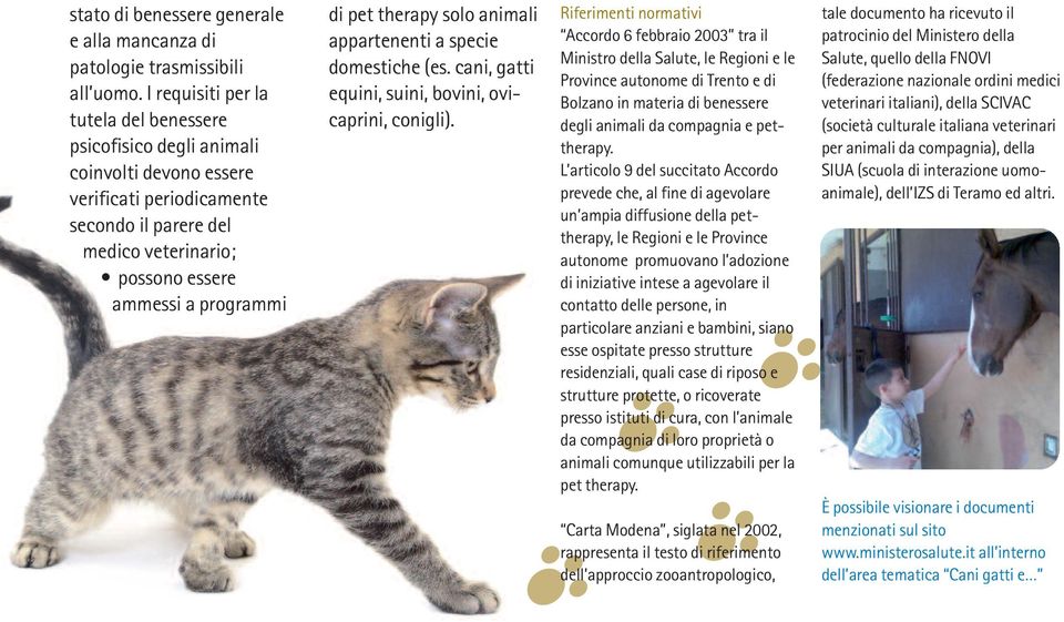 therapy solo animali appartenenti a specie domestiche (es. cani, gatti equini, suini, bovini, ovicaprini, conigli).