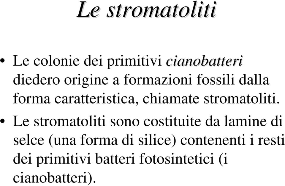 Le stromatoliti sono costituite da lamine di selce (una forma di