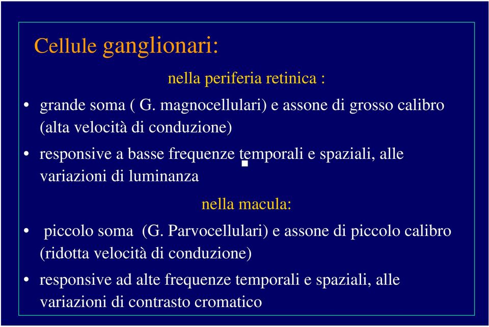 temporali e spaziali, alle variazioni di luminanza nella macula: piccolo soma (G.