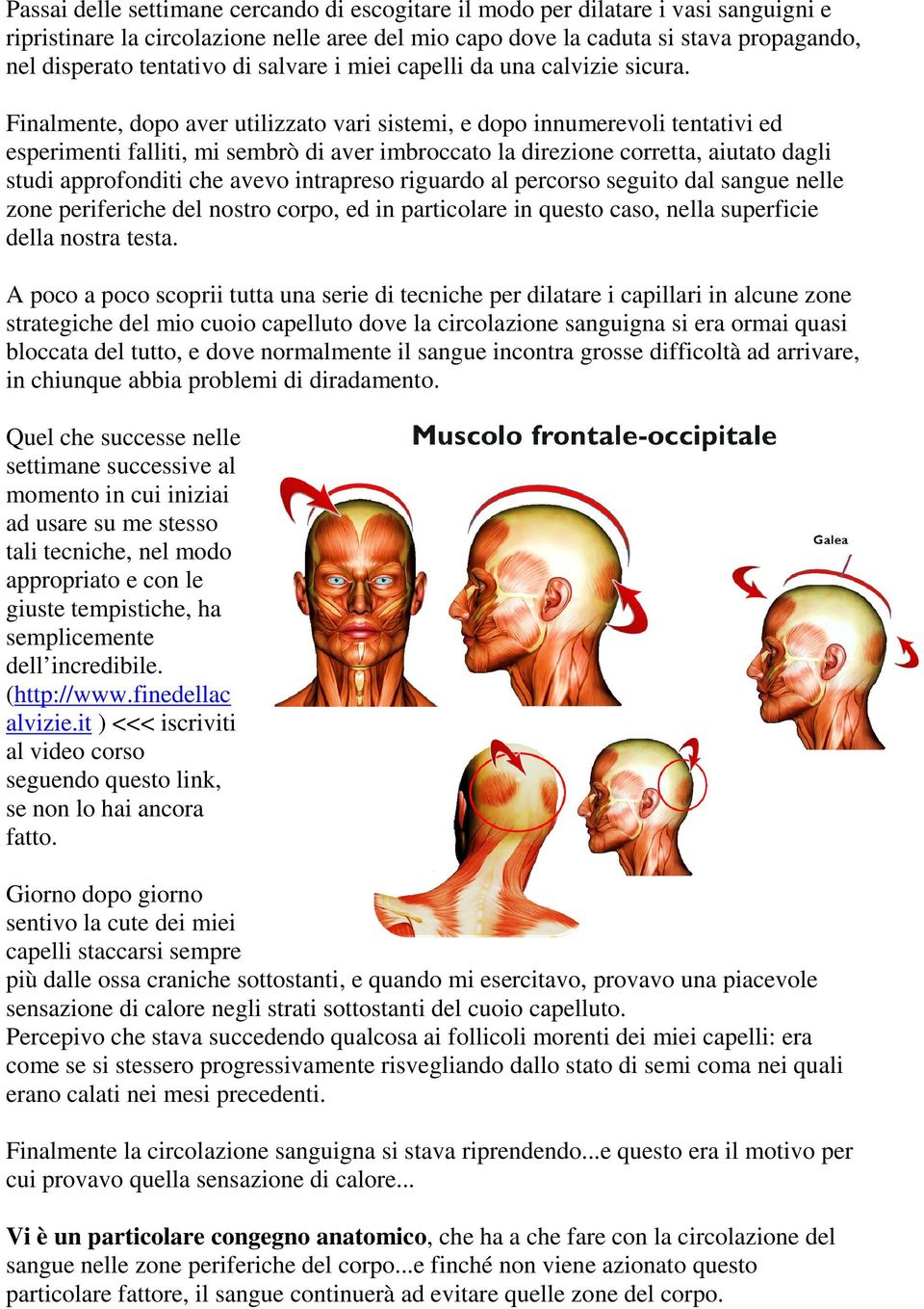 Finalmente, dopo aver utilizzato vari sistemi, e dopo innumerevoli tentativi ed esperimenti falliti, mi sembrò di aver imbroccato la direzione corretta, aiutato dagli studi approfonditi che avevo