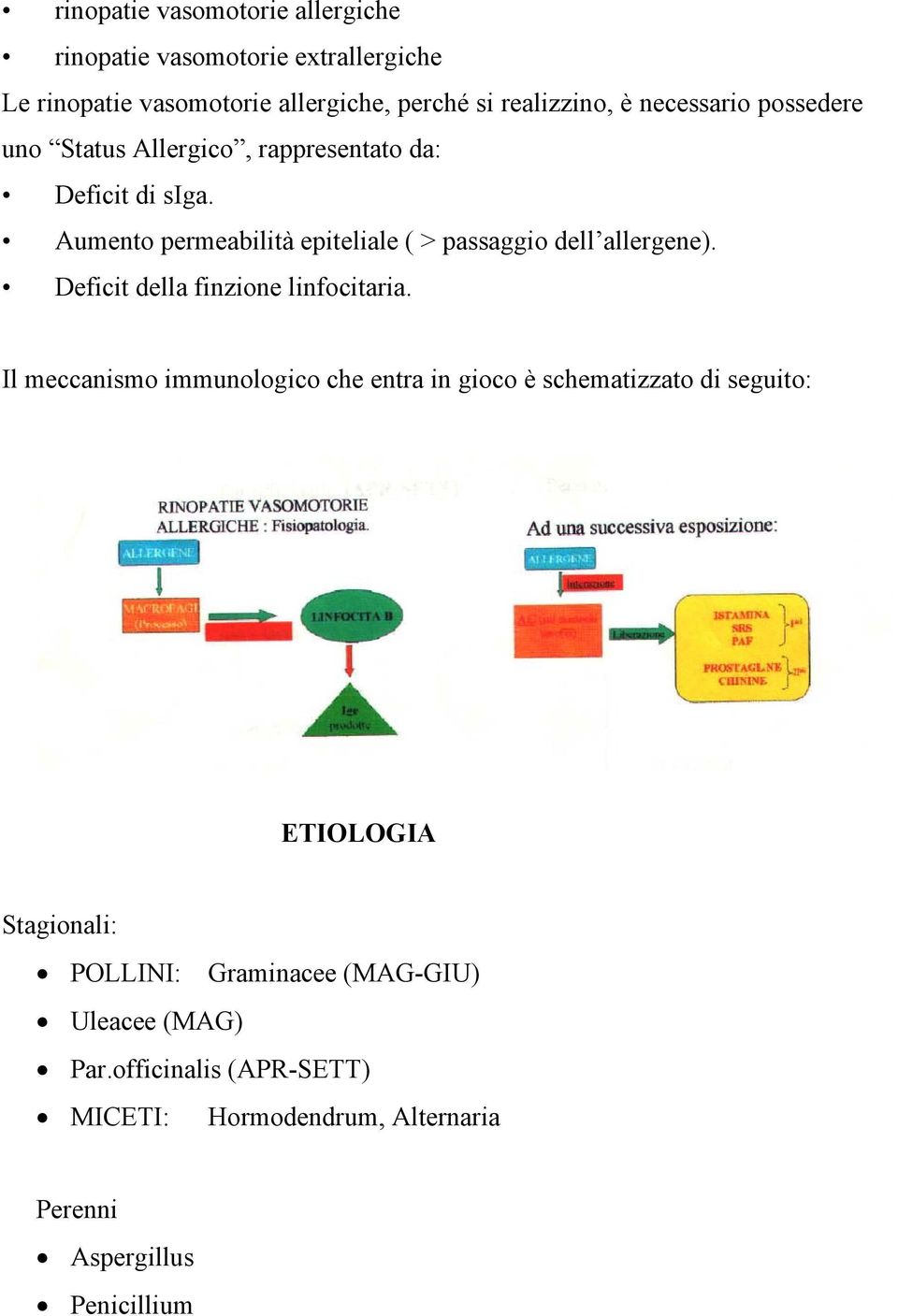 Aumento permeabilità epiteliale ( > passaggio dell allergene). Deficit della finzione linfocitaria.